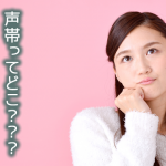 声帯がどこにあるか知っていますか?
