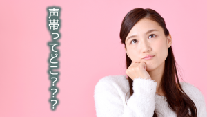 声帯がどこにあるか知っていますか?