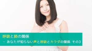 呼吸と肺の関係 - あなたが知らない声と呼吸とカラダの関係 その3