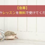 【急募】5/18(土) 12:00~13:00にレッスンを無料で受けてくれる方