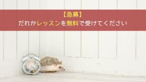 【急募】5/18(土) 12:00~13:00にレッスンを無料で受けてくれる方